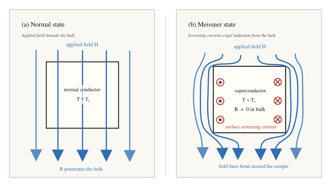 Figure 1.1